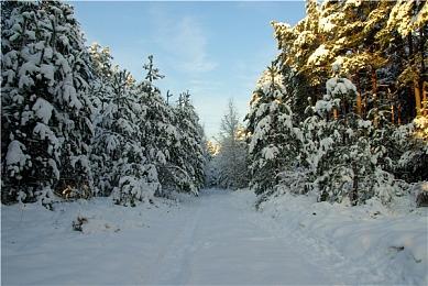 国产神话ARPG《隐世神剑传》4月25日开启抢先体验
