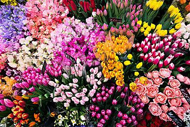 CDPR：《赛博朋克2077：往日之影》获得商业成功 购买率23%